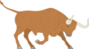 Bull Preparing To Charge Clip Art